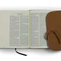 ESV Journaling Bible (Natural Leather, Brown, Flap with Strap)