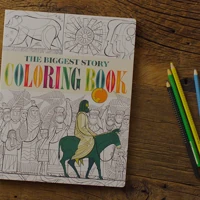 The Biggest Story Coloring Book