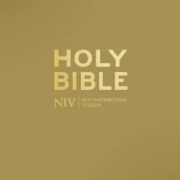 NIV Pocket Latte Bible with Gold Zip