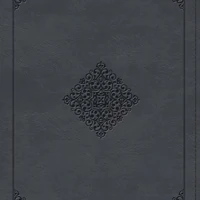 ESV Large Print Wide Margin Bible