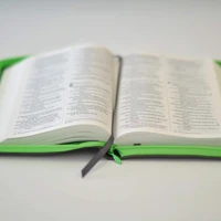 NIV Popular Soft-Tone Bible with Zip