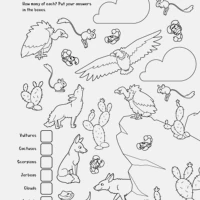 Seek and Find: The First Christmas Activity Book
