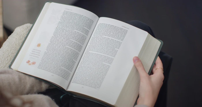 ESV GraceLaced Bible, TruTone