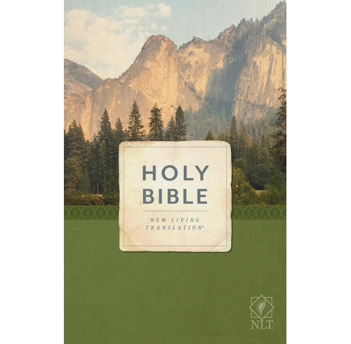 NLT Holy Bible, Economy Outreach Edition