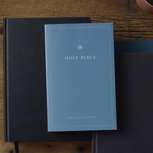 ESV Economy Bible (Paperback)