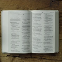 ESV Large Print Value Thinline Bible (River Stone)