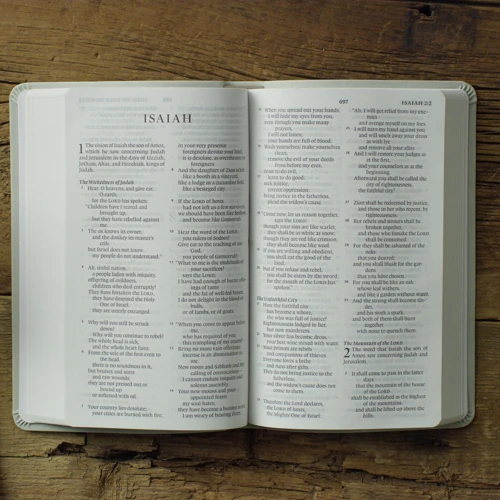 ESV Large Print Value Thinline Bible (River Stone)