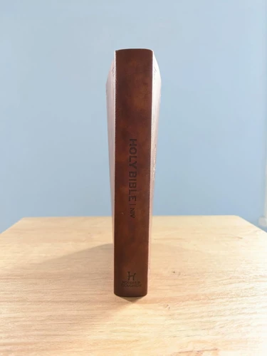 NIV Celtic Bible