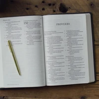 ESV Giant Print Value Thinline Bible