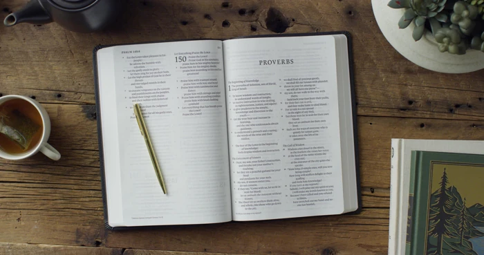 ESV Giant Print Value Thinline Bible