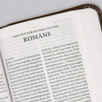 ESV Vest Pocket New Testament with Psalms and Proverbs, Red Letter