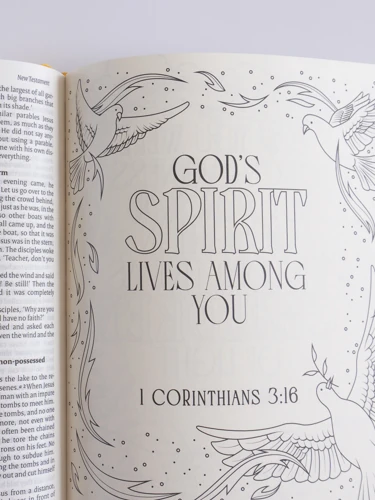 NIV Illuminated Bible