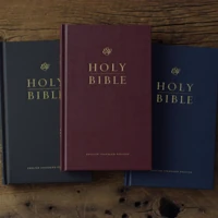 ESV Church Bible, Burgundy