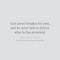 Everyday Gospel Christmas Devotional