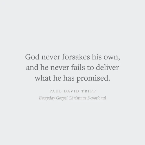Everyday Gospel Christmas Devotional