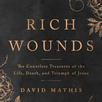 Rich Wounds (ebook)