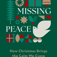 The Missing Peace (ebook)