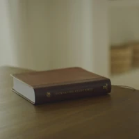 ESV Journaling Study Bible