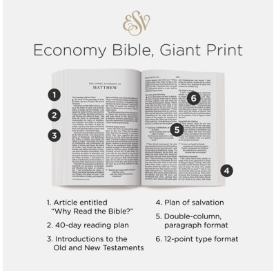 ESV Economy Bible, Giant Print | The Good Book Company