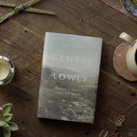 Gentle and Lowly