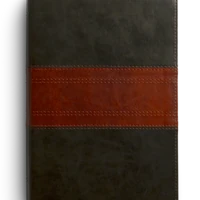 ESV Giant Print Personal Size Bible, Red Letter, Thumb Indexed