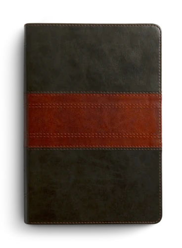 ESV Giant Print Personal Size Bible, Red Letter, Thumb Indexed