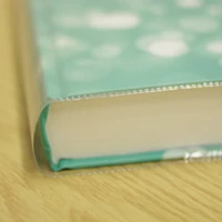 Book protector for Hardback Bible