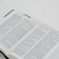 NLT Holy Bible (Green)
