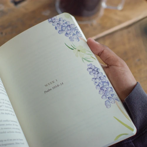 ESV Prayer Journal: 30 Days on Forgiveness