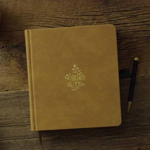ESV Journaling Study Bible