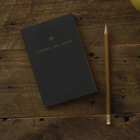 ESV Gospel of John