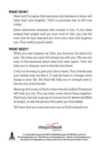 Why Did Jesus rise? (Access for All)