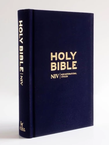 NIV Larger Print Personal Velvet Bible