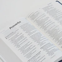 NLT Holy Bible (Blue)