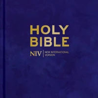 NIV Larger Print Personal Velvet Bible