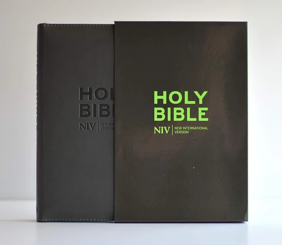 NIV Popular Soft-Tone Bible with Zip
