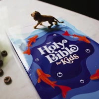 NIrV, Outreach Bible for Kids, Paperback, Blue