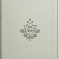ESV Large Print Value Thinline Bible (River Stone)
