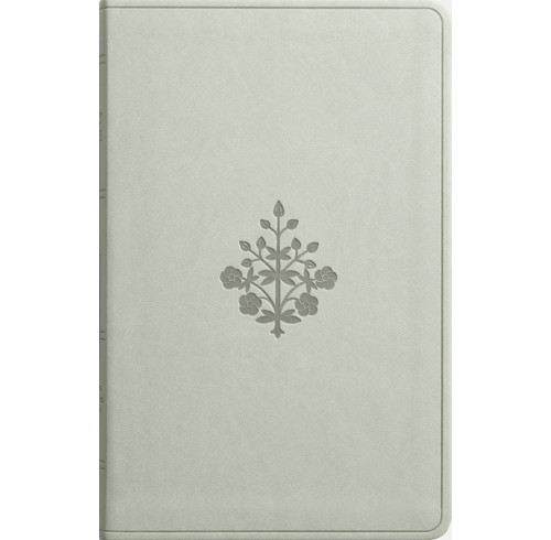 ESV Large Print Value Thinline Bible (River Stone)