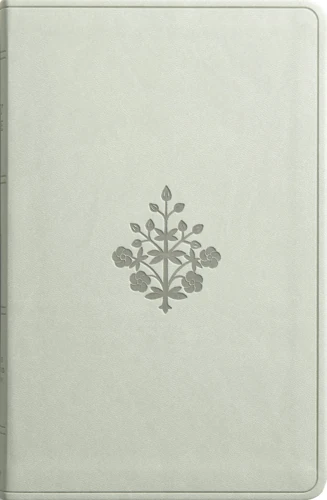 ESV Large Print Value Thinline Bible (River Stone)