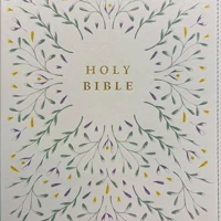 NLT Wide Margin Bible, Filament Enabled