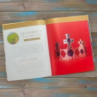 Jesus Storybook Bible Advent Activity Book