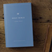 ESV Economy Bible, Large Print