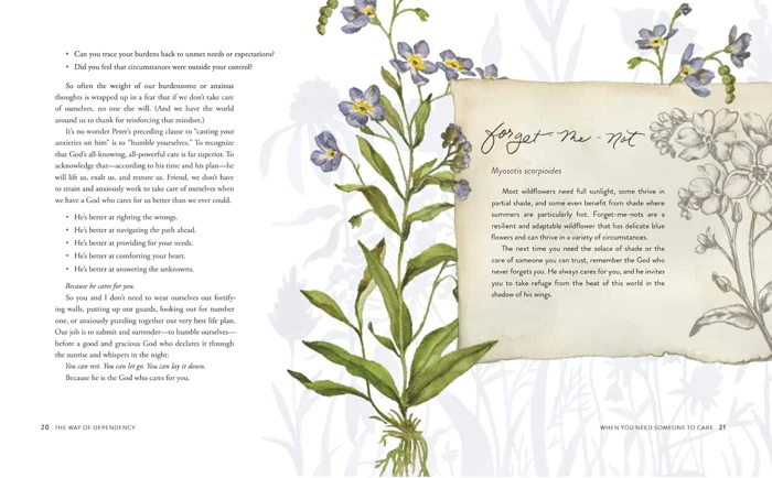 The Way of the Wildflower