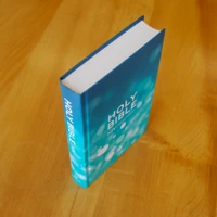 Aqua Hardback Bible (NIV)