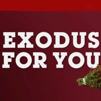 Exodus For You