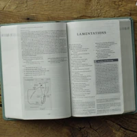 ESV Teen Study Bible