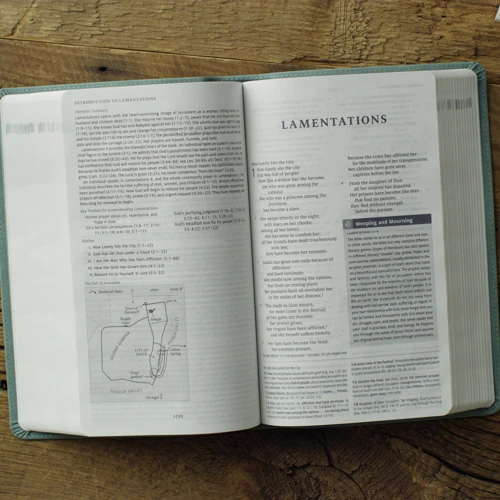 ESV Teen Study Bible