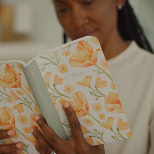 ESV Prayer Journal: 30 Days on Peace