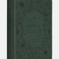 ESV GraceLaced Bible, TruTone